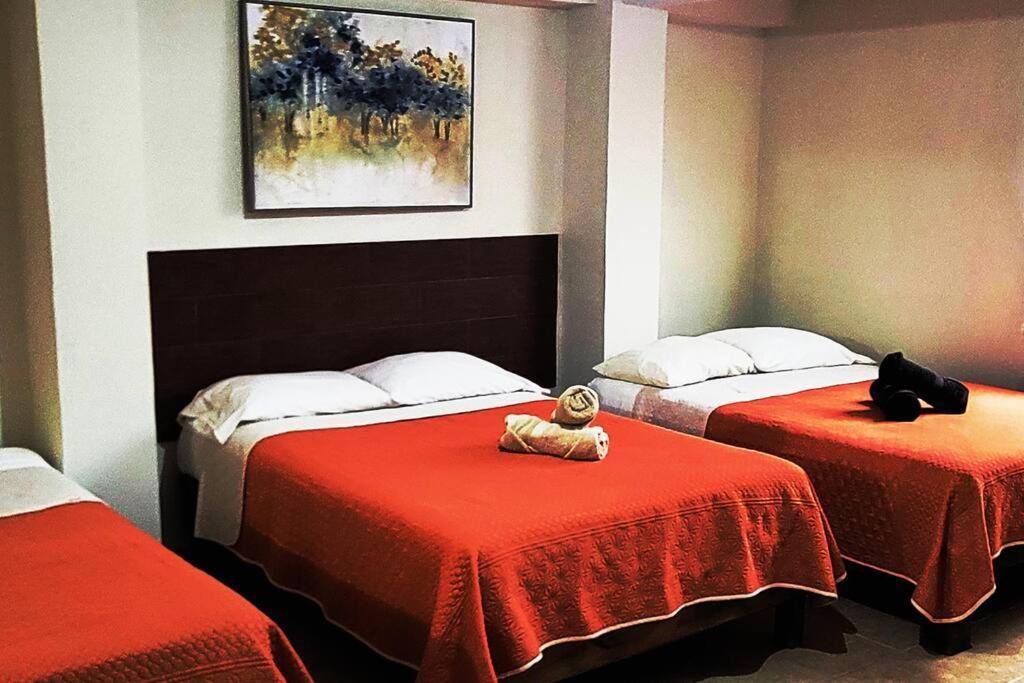 Loft Centrico 3 Camas Matrimoniales,Aire Acondicionado, Parking Leilighet Ciudad Valles Eksteriør bilde